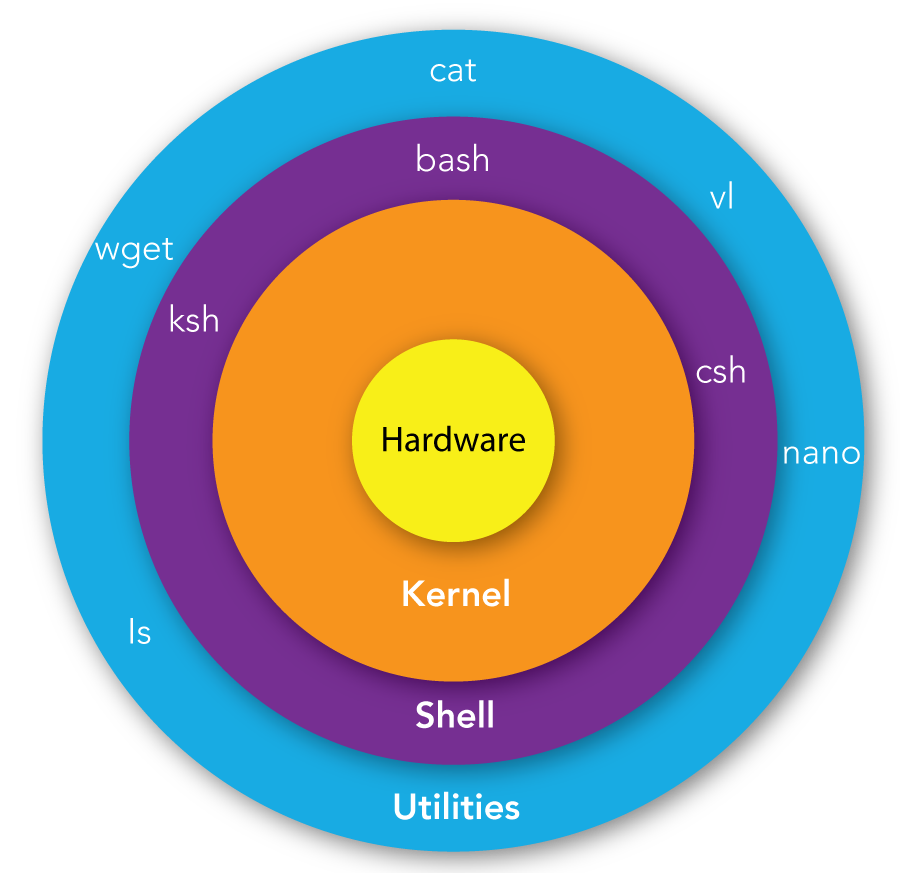 shell-kernel