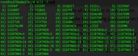 signals-bash